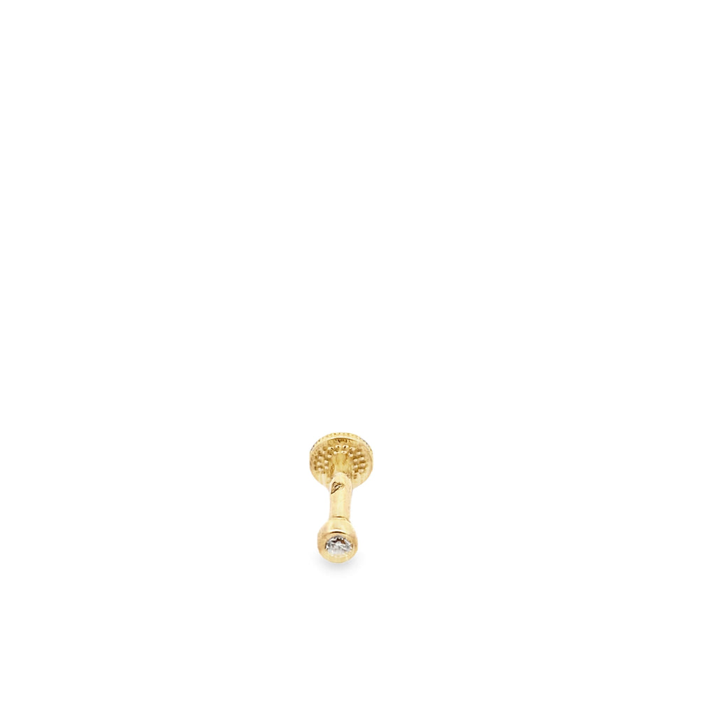 Coot Gold Stud Piercing